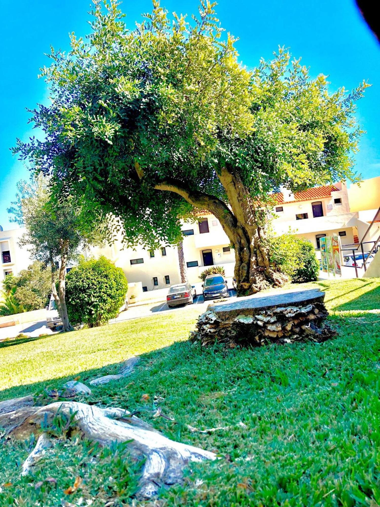 Albufeira Jardim - Apartamentos Turisticos Εξωτερικό φωτογραφία