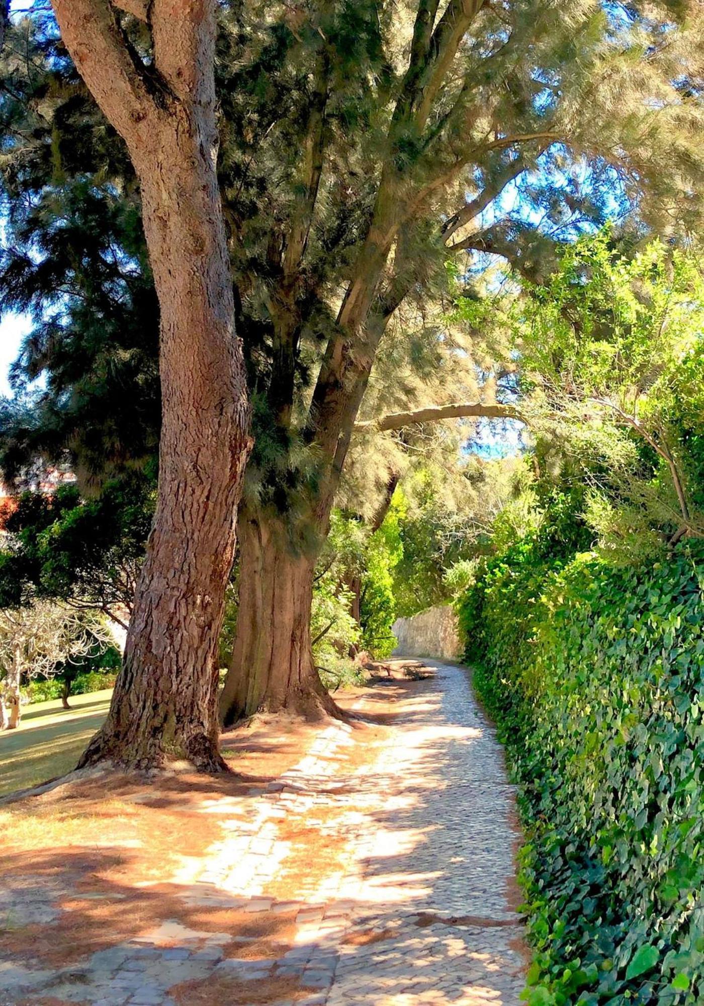 Albufeira Jardim - Apartamentos Turisticos Εξωτερικό φωτογραφία